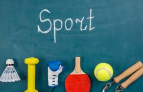 What is the largest organisation related to sports?